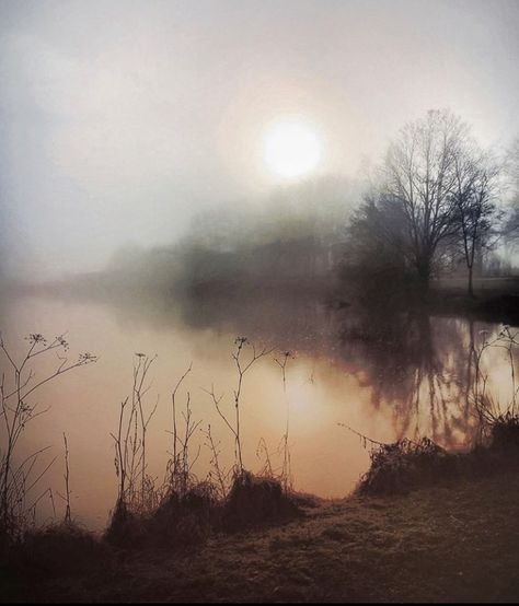 Misty Sunrise, Light And Shadow Photography, Have A Nice Evening, Moody Painting, Watercolor Art Face, Pastel Landscape, Watercolor Landscape Paintings, Landscape Drawings, Nature Plants