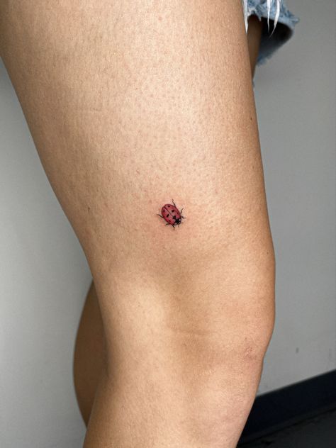 Small Lady Bug Tattoos, Fine Line Beetle Tattoo, Red Ink Ladybug Tattoo, Last Bug Tattoo, Ladybug Tattoo Dainty, Ladybug Tattoo Color, Ladybug Knee Tattoo, Ladybug Tat, Red Ladybug Tattoo