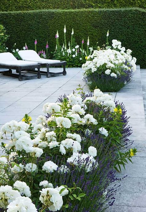 Tile Deck with Built In Flower Beds Flower Garden Design, Have Inspiration, The Secret Garden, Beautiful Flowers Garden, White Gardens, Garden Cottage, Back Garden, Front Garden, Modern Garden