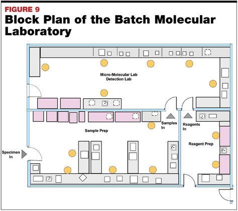 Lab Research Aesthetic, Microbiology Laboratory, Labs Plan, Biology Experiments, Microbiology Lab, Block Plan, Laboratory Design, Biology Labs, Mass Spectrometry