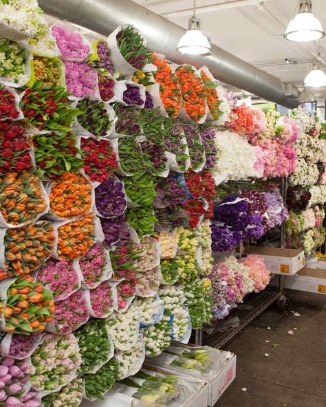 Flower Shop Interiors, The Flower Market, Flower Shop Decor, Flower Shop Design, Family Flowers, Flower Business, Flower Store, Florist Shop, Love Now