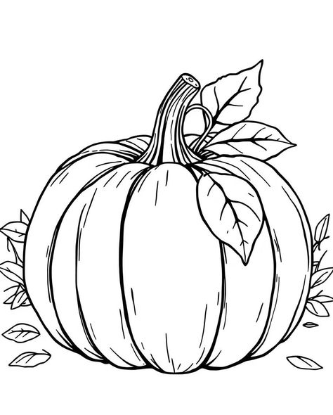 Autumn Line Drawing, Fall Coloring Sheets For Adults, Adult Fall Coloring Pages, Simple Halloween Coloring Pages, Color In Drawings, Fall Pumpkin Drawing, Drawing Ideas Autumn, Easy Fall Coloring Pages, Pumpkin Draw