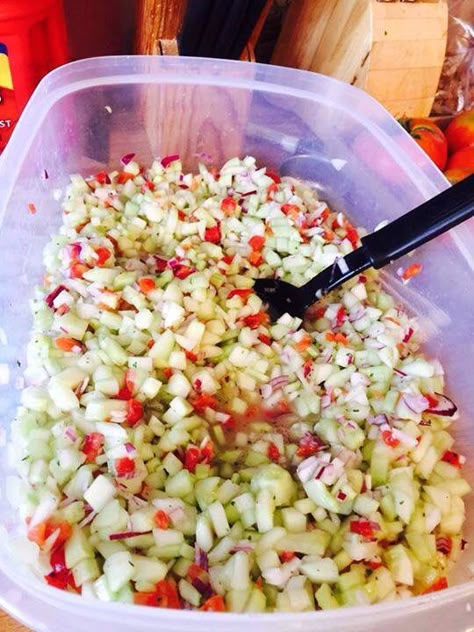 Cucumber Salsa  6 cucumbers peeled and chopped 1 can Rotel 1/4 cup Apple cider vinegar  1 package dry ranch dressing 1 medium red onion  Serve cold with pita chips Cucumber Salsa Recipe, Big Salads, Ranch Seasoning Recipes, Cucumber Salsa, Easy Keto Recipes, Summer Recipe, Cucumber Recipes, Low Carbs, Garden Recipes