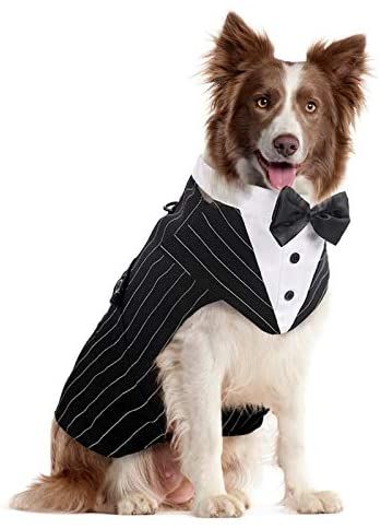 Tuxedo Wedding Party, Dog Tuxedo Wedding, Dog Wedding Bandana, Formal Dog, Dog Sewing, Big Dog Clothes, Dog Wedding Attire, Dog Tuxedo, Dog Suit