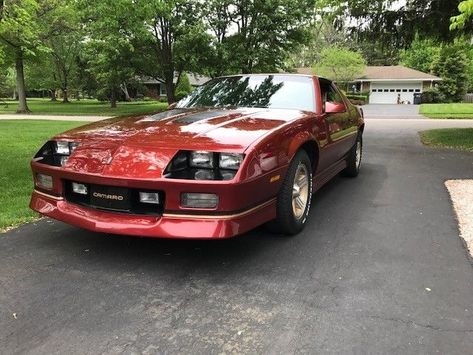 original survivor 1989 Chevrolet Camaro IROC Z28 Camaro Iroc, American Muscle, American Muscle Cars, Chevrolet Camaro, Muscle Cars, Year Old, Cars, The Originals