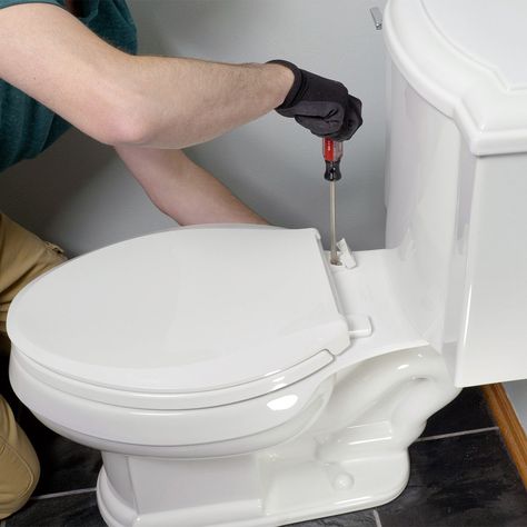 How to Replace a Toilet Seat Replace Toilet, Toilet Installation, Wax Ring, Shop Vacuum, Diy Crafts Life Hacks, New Toilet, Home Center, Family Handyman, Flush Toilet