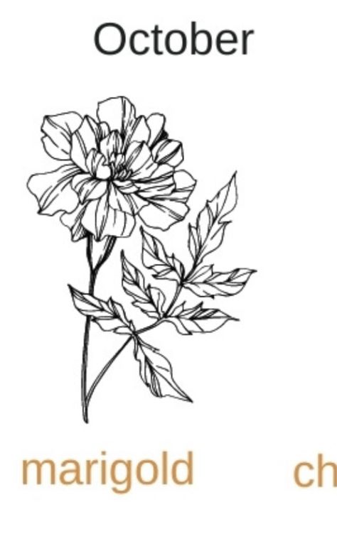 Marigold Line Tattoo, Marigold Line Art Tattoo, Marigold Tattoo Linework, Marigold Fine Line, Cosmo And Marigold Flower Tattoo, Merigold Aesthetic Flower Tattoo, Marigold Flower Drawing, Marigold Tattoo, Sketched Flowers