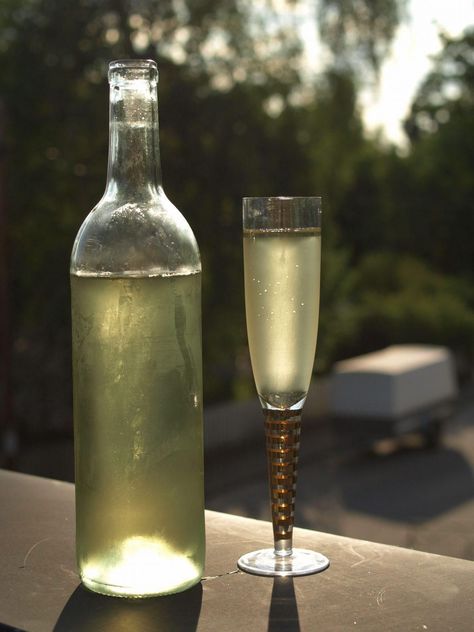 Hard Cider Cocktail, Honey Mead, Mead Wine, How To Make Mead, Mead Recipe, Fermented Honey, Honey Drink, Honey Wine, Cider Cocktails