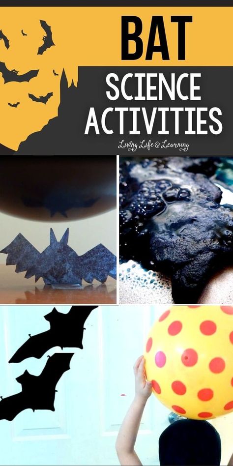 Bat Science Activities Bat Science Experiments, Bat Science Activities, Bat Activities For Kids, Bat Science, Easy Halloween Activities, Bat Lessons, Bats Science, Halloween Science Activities, Bats Activities