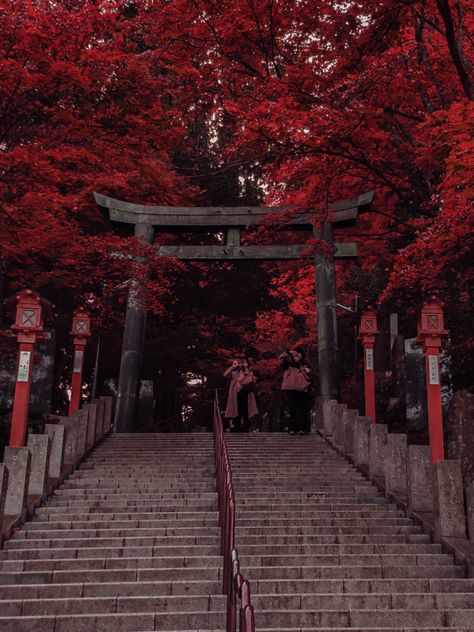 . on Twitter: "Autumn reds on Mount Mitake. It's crazy to think this is so close to Tokyo… " Japanese Neighborhood, Chinese Aesthetic, Japan Aesthetic, Aesthetic Japan, Ocean Wallpaper, Fantasy Places, Japanese Aesthetic, Aesthetic Gif, City Aesthetic