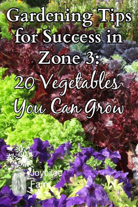 Growing A Garden, Perennial Garden Plans, Raised Garden Bed Kits, Lake Garden, Perennial Vegetables, Vegetable Garden Planning, Plant Zones, Homestead Gardens, Fall Vegetables