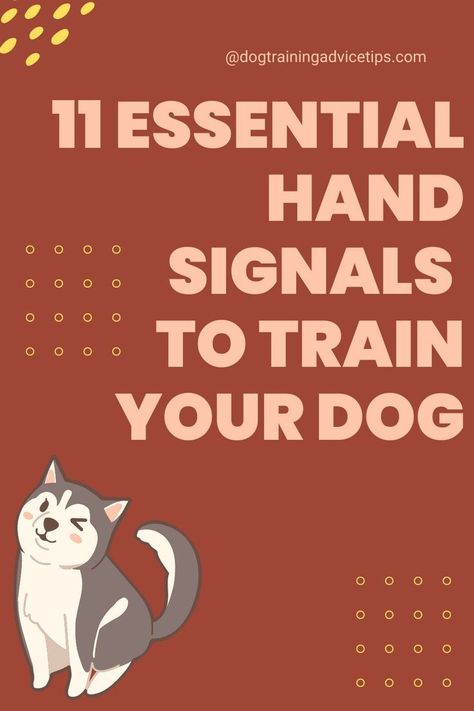 Train your dog with 11 easy-to-follow hand signals that will make your pup eager to | #Commands_For_Dogs #Kennel_Training_A_Puppy #Dog_Training_Hand_Signals #Dog_Hand_Signals Kennel Training A Puppy, Dog Training Hand Signals, Dog Hand Signals, Puppy Training Treats, Puppy Training Biting, Puppy Training Schedule, Dog Behavior Training, Service Dog Training, Basic Dog Training