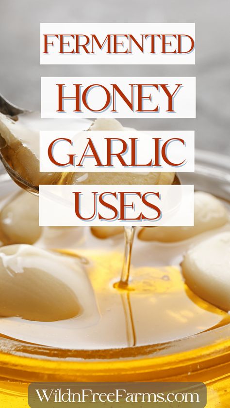 fermented garlic honey uses Garlic And Honey Benefits, Medicinal Tea Recipes, Fermented Honey Garlic, Herbs To Plant Together, Fermented Garlic Honey, Diy Herbal Tea, Health Benefits Of Onions, Benefits Of Onions, Tincture Recipes