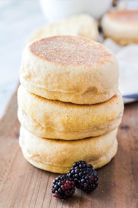 No Knead English Muffins, Ricotta English Muffin, Fluffy English Muffins, Cornmeal English Muffins, Blackstone English Muffins, High Fiber English Muffin Recipe, Quick English Muffin Recipe, Overnight English Muffins, Buttermilk English Muffins