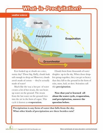 Science week 4,  Water cycle.  Worksheets: What is Precipitation? First Grade Weather, Earth For Kids, Stem Activities Middle School, Weather Lesson Plans, Astronomy Lessons, Water Unit, Teaching Weather, Weather Lessons, Science Earth