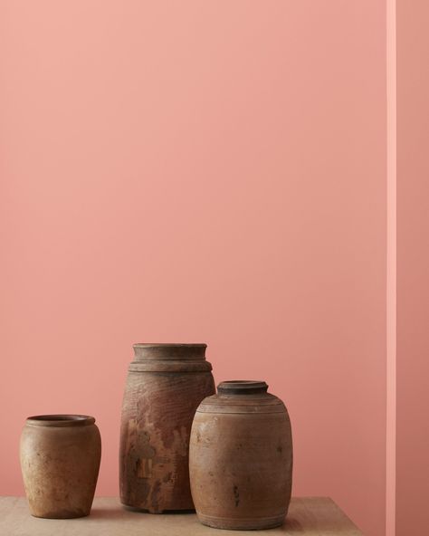 Benjamin Moore Pink, Unglazed Pottery, Paint Color Swatches, Peach Paint, Fan Coral, Paint Colors Benjamin Moore, Benjamin Moore Colors, Benjamin Moore Paint, Pink Paint