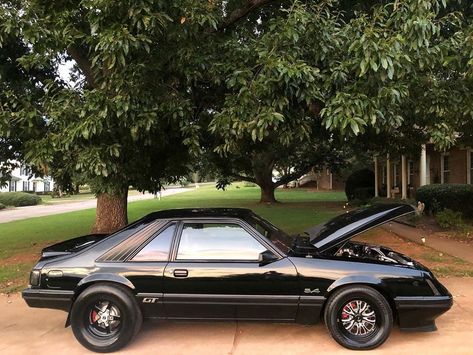 Newedge Mustang, Mustang Hatchback, Ford Fox Body Mustang, Mustang Body Kit, 89 Fox Body Mustang, Foxbody Mustang Hatchback, 2006 Mustang, Ford Fox, Fox Body Mustang Convertible