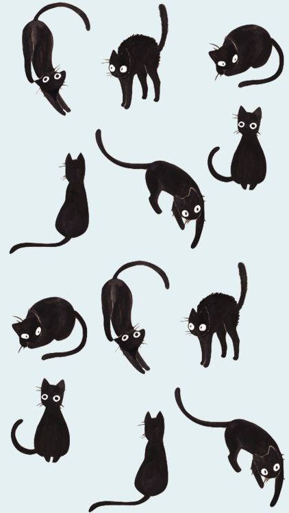 Scared Black Cat Drawing, Cat Illustration Simple, Cat Illustration Design, Black Cat Drawing, Black Cat Illustration, Cat Doodle, Black Cat Art, Cats Illustration, Cat Wallpaper