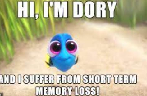 Short Term Memory