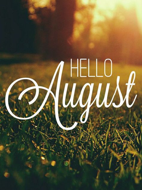 August Hello August Images, August Pictures, August Images, Neuer Monat, August Quotes, August Wallpaper, Welcome Quotes, Hello April, Hello August