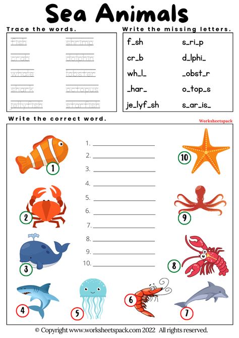 Free Printable Sea Animals Worksheets - worksheetspack See Animals Worksheet, Aquatic Animals Worksheets, Water Animals Worksheets For Kids, Water Animals Preschool, Sea Animals Worksheets For Kids, Animals Worksheets For Kids, Rainbow Fish Activities, Simple Present Tense Worksheets, Classifying Animals