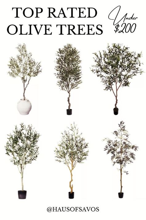 Enhance your indoor decor with these gorgeous faux olive trees in pots! Whether you prefer a large statement piece or a small accent, these realistic plants from Amazon will transform your space into an indoor paradise. Faux Olive Trees, Indoor Olive Tree, Black Olive Tree, Artificial Indoor Trees, Living Room Fans, Potted Olive Tree, Organic Modern Living Room, Artificial Olive Tree, Faux Olive Tree