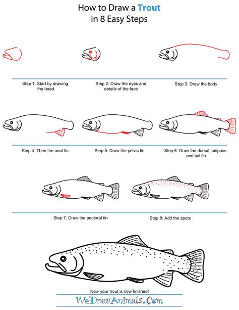 How To Draw A Trout, How To Draw Salmon, Step By Step Fish Drawing, Trout Drawing, Lake Fish Drawing, How To Draw A Fish Step By Step, Trout Drawing Simple, Trout In The Classroom, Trout Sketch