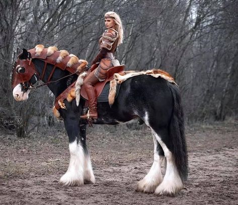 Viking Horse Costume, Medieval Horse Tack, Horse With Armor, Armored Horse, Viking Horse, Beautiful White Horse, Viking Warrior Woman, Horse Clothing, Horse Costume