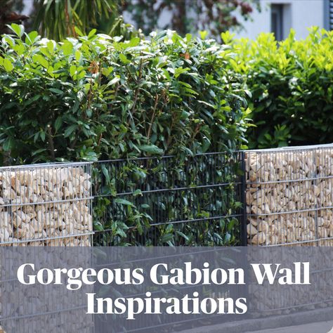 Gabion Wall Ideas Gabion Wall Ideas, Gabion Wall Design, Backyard Ecosystem, Gabion Walls, Gabion Stone, Garden Dividers, Gabion Retaining Wall, Stepping Stone Walkways, Luxury Homes Exterior