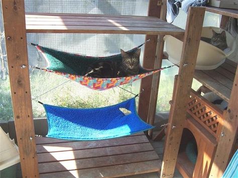 Double-decker outdoor kitty hammocks with solid frame and shade. Excellent outdoor cat habitat. Cat House Outdoor, Katt Diy, Cat Habitat, Cat Projects, Cat Patio, Cat Hotel, Cat Run, Outdoor Cat House, Cat Playground