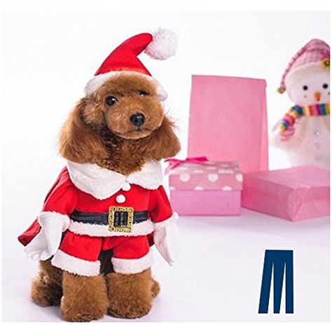 Mikayoo Christmas Costumes for Small Dog Medium Dog Or Cat Santa Suit with HatSanta Dress with Hat Santa Claus Costumes Christmas Holiday Xmas coat with Santa Hat Xmas dress with Santa HatS *** You can get more details by clicking on the image. (This is an affiliate link) #DogApparelAccessories Pet Costumes For Dogs, Funny Dog Costumes, Dogs Costumes, Dog Swag, Dog Fashion Clothes, Dog Luxury, Costumes For Dogs, Funny Christmas Outfits, Xmas Costumes