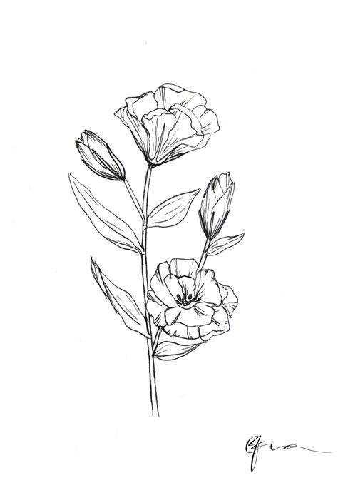 Lisanthius Tattoo, Cistus Flower Tattoo, Lisianthus Tattoo, Lisianthus Drawing, Lily Flower Aesthetic Drawing, Gladiolus Flower Line Drawing, Lilys Aesthetic Flower Drawing, Meaningful Flower Tattoos, Lisianthus Illustration