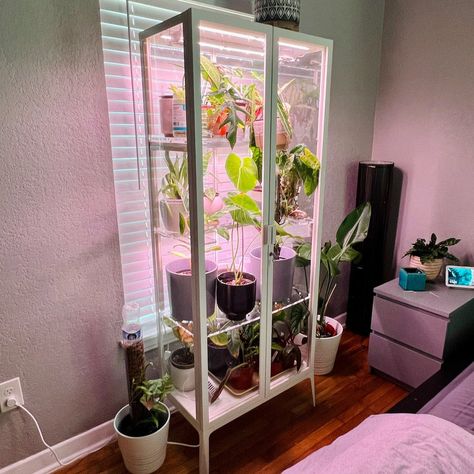 The Ultimate Ikea Milsbo Greenhouse Cabinet – PlantyTown Ikea Plant Cabinet Greenhouse, Ikea Cabinet Plants, Ikea Grow Cabinet, Ikea Greenhouse Cabinet Diy, Diy Greenhouse Cabinet, Ikea Milsbo Greenhouse, Plant Cabinet Display, Ikea Plant Cabinet, Ikea Indoor Garden