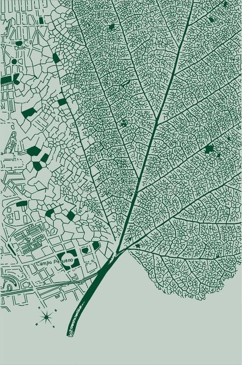 Patterns In Nature Drawing, Tree Typography Design, Urban Design Graphics Illustration, Map Pattern Design, Urban Ecology Design, Ecological Landscape Design, Green Growth Aesthetic, Nature Graphics Design, Building With Nature