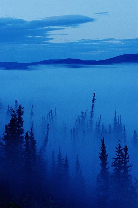 (via Fog At Dawn, Stewart Crossing, Yukon by Mike Grandmailson) Photo Bleu, Everything Is Blue, Darkness Falls, Blue Dream, Blue Hour, Calming Colors, Love Blue, True Blue, Something Blue