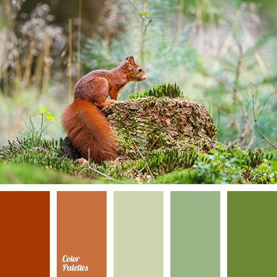 Bright Pillows, Bedroom Colour Palette, Hex Color Palette, Color Palette Challenge, Forest Color, Green Palette, Beach Color, Brand Color Palette, Forest Theme