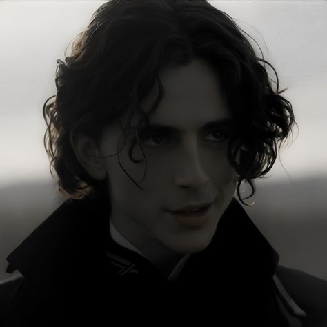 Regulus Black Timothee Chalamet, Regulus Acturus Black, Dune Characters, Paul Atreides, Face Model, Timmy T, Black Icon, Regulus Black, Timothee Chalamet