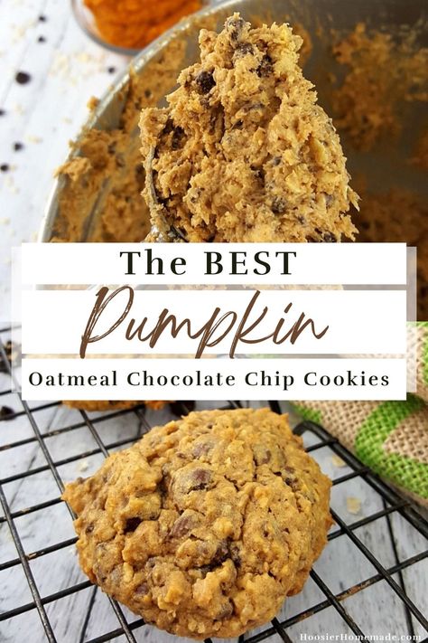 Soft Pumpkin Chocolate Chip Cookies, Pumpkin Oatmeal Chocolate Chip Cookies, Pumpkin Chip, Soft Pumpkin Cookies, Pumpkin Cookie Recipe, Soft Chocolate Chip Cookies, Oatmeal Chocolate Chip, Pumpkin Chocolate Chip, Pumpkin Chocolate Chip Cookies