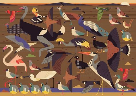 Owen Davey, Nursery Book, Digital Museum, Pet Day, Collaborative Art, Flat Illustration, Animals Of The World, Magazine Design, Animal Illustration