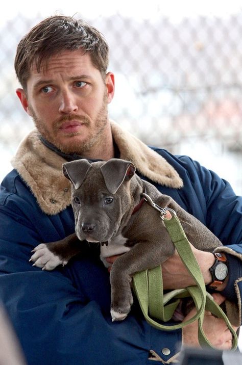 Tom Hardy توم هاردي, Tom Hardy Dog, Tom Hardy Variations, Lou Dog, Tom Hardy Photos, Baby Drama, Photos Of Eyes, Thomas Hardy, Brown Babies