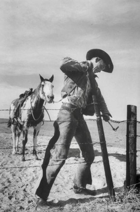 Rodeo Photos, Saddle Tramp, Cowboy Vibes, Cowboy Artwork, Ranch Cowboy, Cowboy Photography, Pure Country, Farming Life, Cowboy Ranch