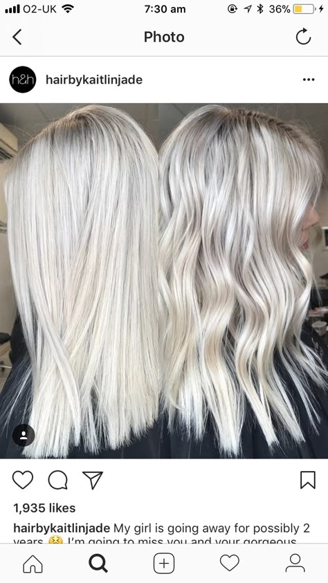 Medium Length Icy Blonde Hair, Fall Haircolor, Hair In A Ponytail, Ice Blonde Hair, Brunette Medium, Platinum Blonde Hair Color, Silver Blonde Hair, Icy Blonde Hair, Highlights Color