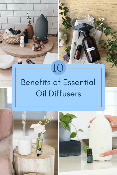 Discover the top 10 benefits of essential oil diffusers showcased in this engaging pin, featuring aromatherapy tips for enhancing mood and well-being with 4 beautiful images. Oil Diffuser Benefits, Essential Oil Diffuser Benefits, Diffuser Benefits, Home Workspace, Indoor Trees, Best Essential Oils, Aromatherapy Diffusers, Sore Muscles, Immune Boosting