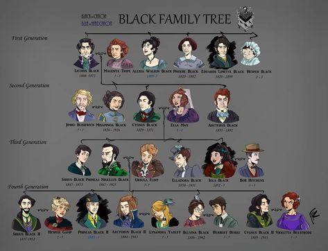 Black Family Tree Harry Potter, Family Tree Harry Potter, House Of Black Family Tree, Black Family Tree, Harry Potter Family Tree, The Black Family, House Of Black, Harry Potter Quotes Funny, Harry Potter Groups