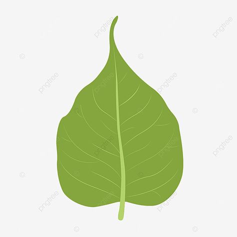 Tree Leaf Wallpaper, Banyan Leaf, Vector Leaf, Leaf Png, Leaf Stencil, Leaf Illustration, Free Stencils, Banyan Tree, Leaves Vector