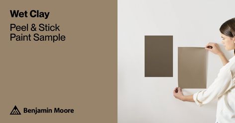 Wet Clay (CSP-1045) | Benjamin Moore | Samplize Peel and Stick Paint Sample Tv Nook, Picking Paint Colors, Brown Paint Colors, Revere Pewter Benjamin Moore, Tan Paint, Coriander Seed, Choosing Paint Colours, Grass Painting, Kitchen Mood Board