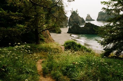 Oregon Aesthetic, Coast Aesthetic, Astoria Oregon, Oregon Living, Ancient Forest, Oregon Travel, On Film, Oregon Coast, Photography Inspo