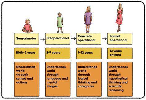 Jean Piaget's Theory of Cognitive Development | Practical Psychology Piaget's Theory Of Cognitive Development, Jean Piaget Theory, Cognitive Theory, Godparent Request Ideas, Practical Psychology, Piaget Theory, Godparent Request, Inductive Reasoning, Jean Piaget