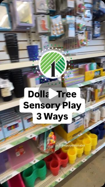 Christina /The Purple Alphabet - Learning, Play Ideas, Sensory on Instagram: "Making sensory bins using Dollar Tree materials. I’m showing you variations of sensory bins using similar materials that I have at home plus a few from Dollar Tree. Mix and match the supplies for variations on your sensory play.   #DollarTreeFinds #SensoryBin #SensoryPlay #DIYActivities #KidsActivities #BudgetFriendly #CraftingOnABudget #DollarTreeCrafts #SensoryLearning #HandsOnLearning #EducationalPlay #CreativePlay #Homeschooling #EarlyChildhoodEducation #playtolearn" Preschool Table Work Activities, Thanksgiving Sensory Bags, Sensory Bins For Classroom, Sensory Tables Ideas, Sensory Shelf Ideas, Neighborhood Sensory Bin, Sensory Gel Bags, Lego Sensory Bin, Fall Playdoh Tray