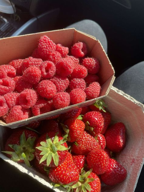 #strawberry #fruit #yummy #raspberry #harvest #pinterest #boost Raspberries Aesthetic, Raspberry Picking, Strawberries And Raspberries, Strawberry Aesthetic, Fruit Picking, Strawberry Fruit, Food Is Fuel, Food Obsession, Pretty Food